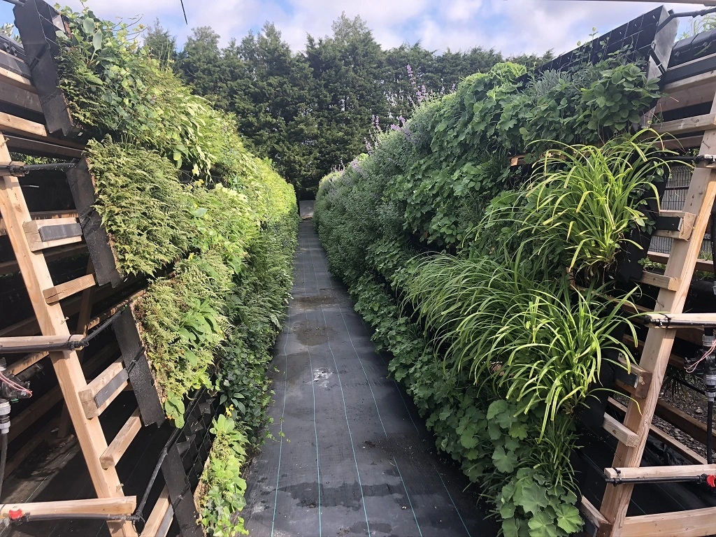 Green wall farm