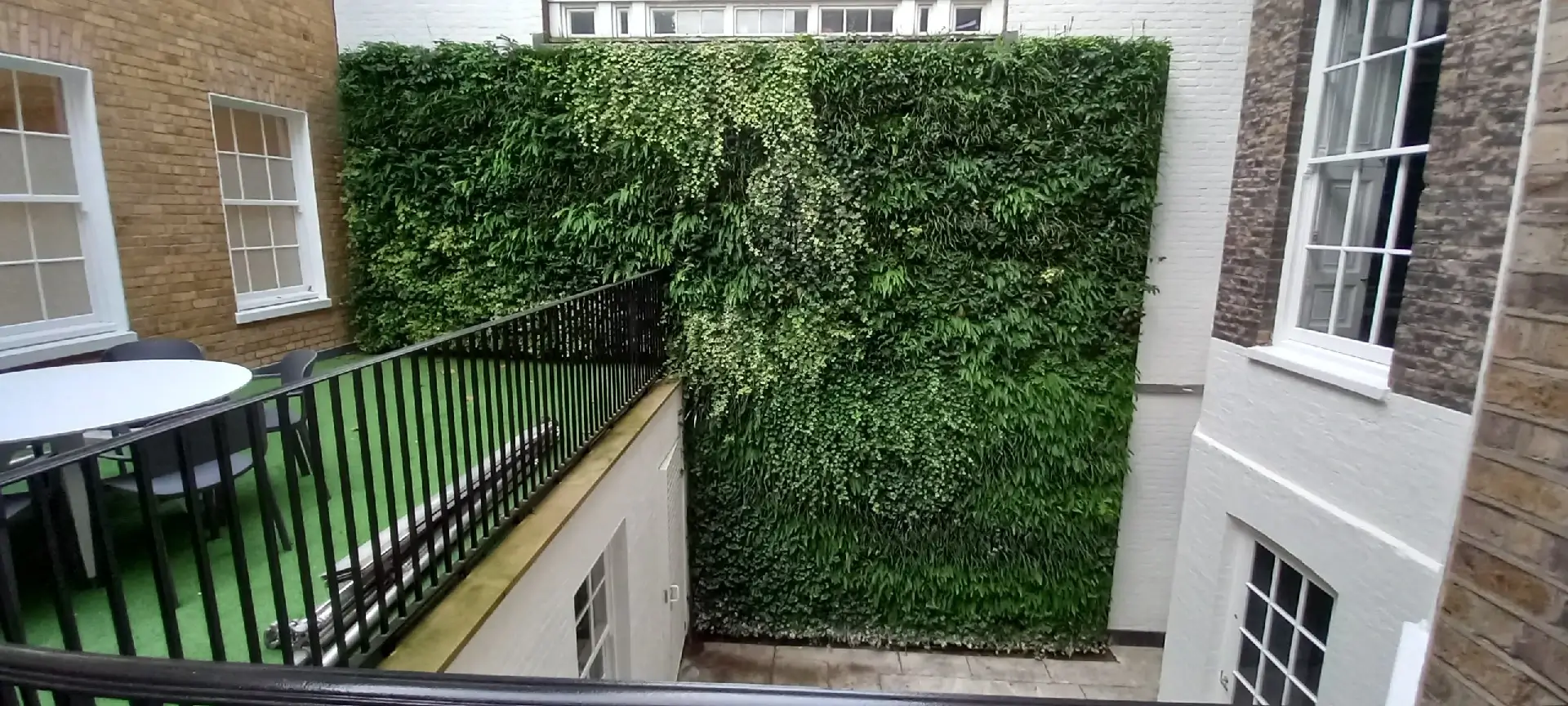 Zielone elewacje budynków, zielona fasada roślinna
