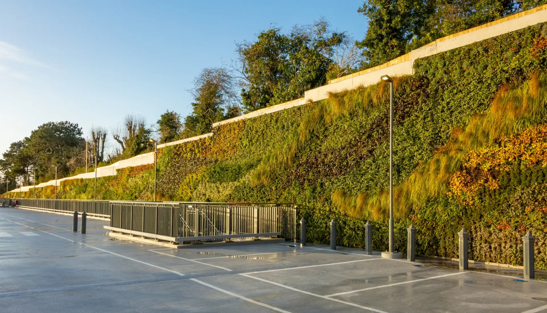 Zielone fasady roślinne, zielona ściana system