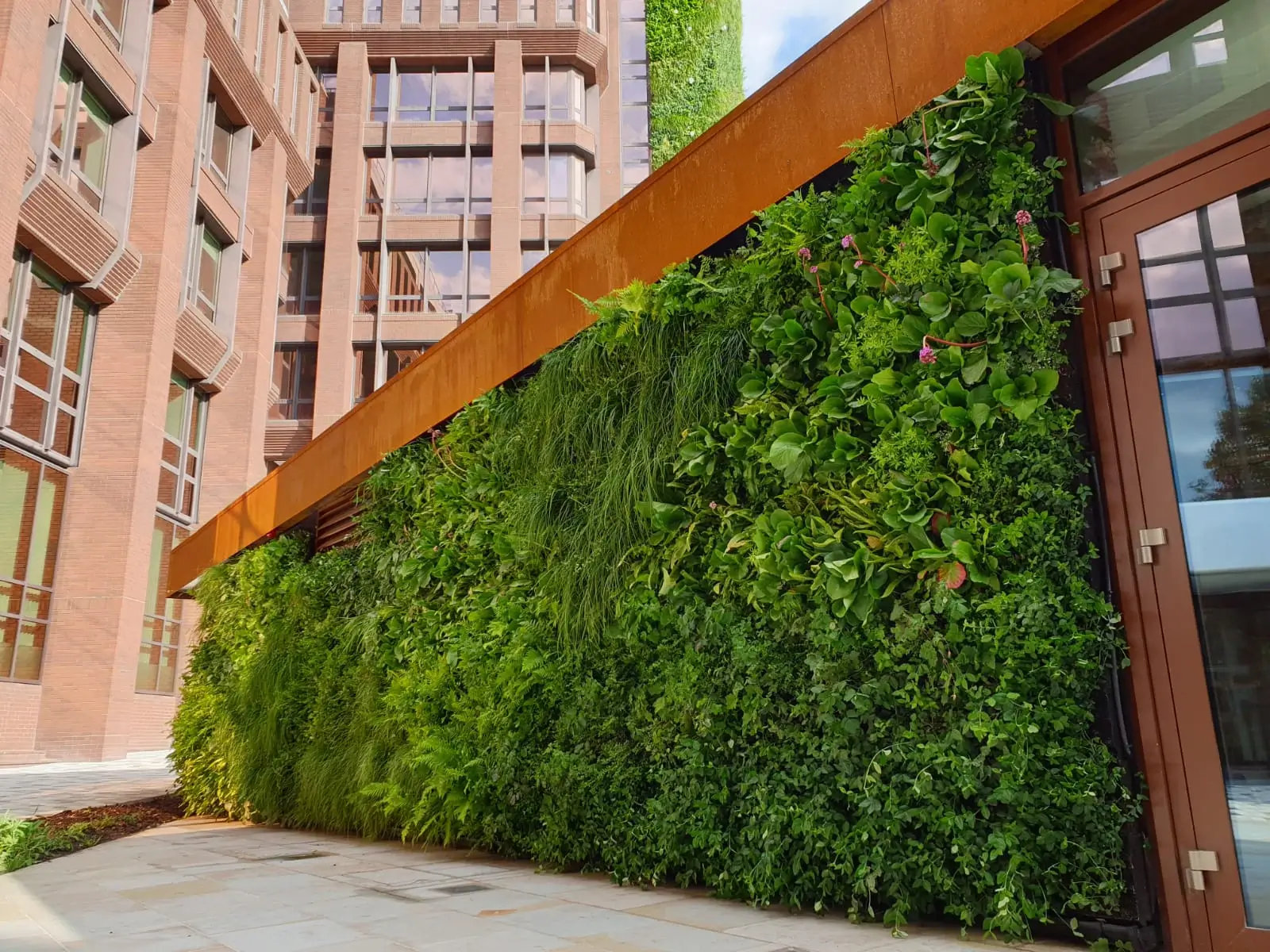 Zielone, żywe ściany budynków, zielona fasada roślinna
