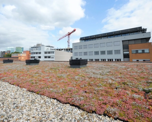 MobiRoof_Portaal_Arnhem_2015_HR_01 zielone dachy firm