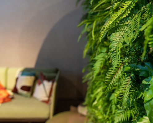 vertical garden in the living room