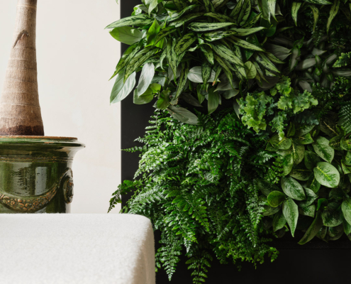 vertical garden in the living room