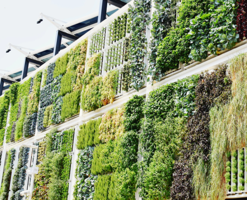 gardening vertically