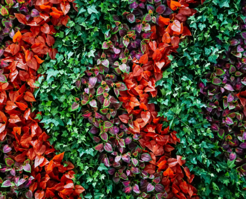 Blumenwand