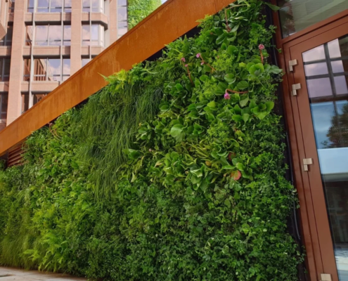 vertical gardens vertical gardens