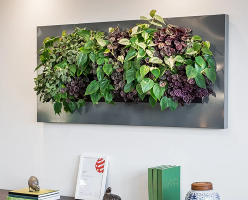 green walls in the living room